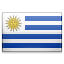 Uruguayan Pesos Currencies Bingo