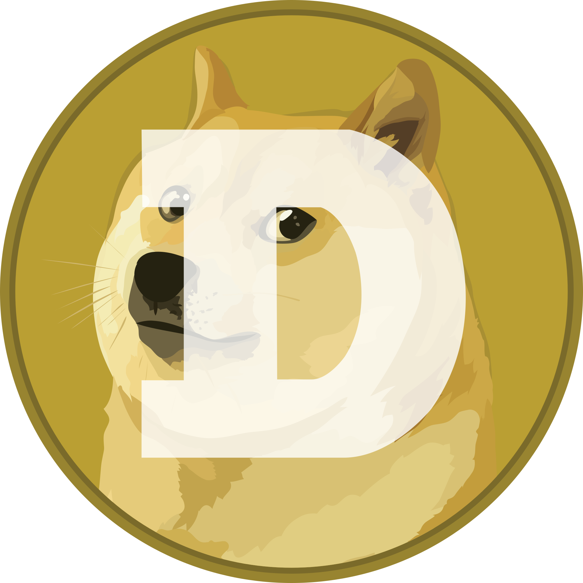 Dogecoins Currencies Bingo